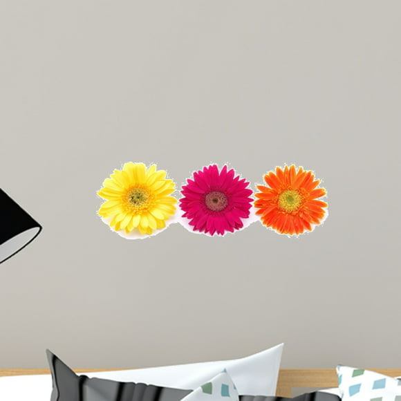 18 in W x 12 in H Small Wallmonkeys WM101136 Flower Potted Gerbera Daisies Peel and Stick Wall Decals 